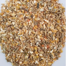 Hobi Karışık Tavuk Yemi 