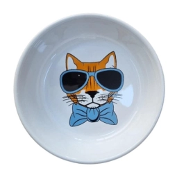 Glipet Seramik Yıkanabilir Mama Ve Su Kabı 250 Ml 14 Cm