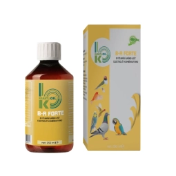 B-A Forte B Vitamini Amino Asit Elektrolit Kombinasyonu 250ML