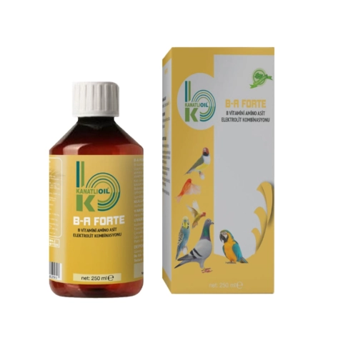 B-A Forte B Vitamini Amino Asit Elektrolit Kombinasyonu 250ML