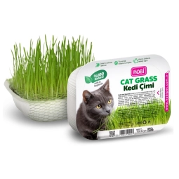 Hobi Fileli Kedi Çimi Cat Grass Ekonomik