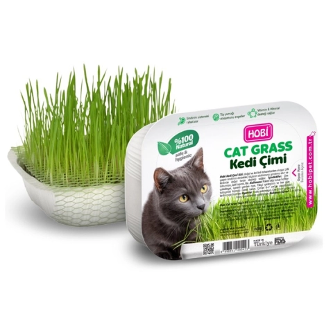 Hobi Fileli Kedi Çimi Cat Grass Ekonomik