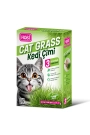Hobi Kedi Çimi – Cat Grass (3 Kullanımlık) ?