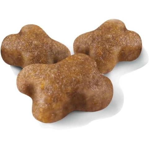 Royal Canin Kitten Kedi Maması,2 Kg