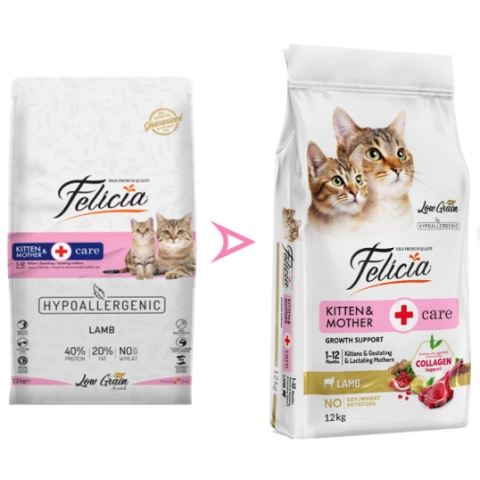 Felicia Hipoalerjenik Kuzu Etli Düşük Tahıllı Yavru Kedi Maması