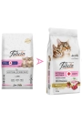 Felicia Hipoalerjenik Kuzu Etli Düşük Tahıllı Yavru Kedi Maması 