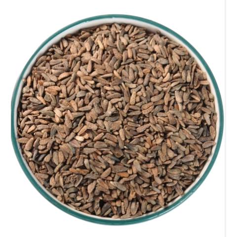 Micro Deve Dikeni Tohumu(eşşek ohumu)