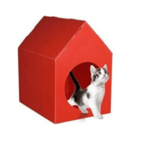 Plastik Renkli Kedi Kulübesi