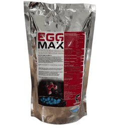 Gazi Egg Max Doğurganlık Arttıcı Tam Katkı 