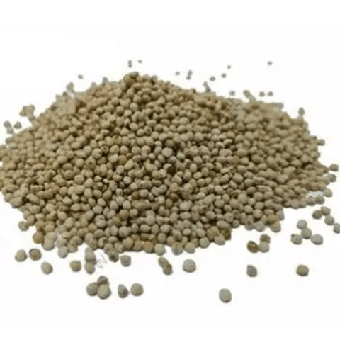 Beyaz Perilla Tohumu