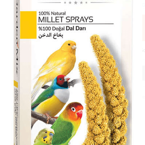 Garden Mix Platin Sarı Dal Darı 150 Gr