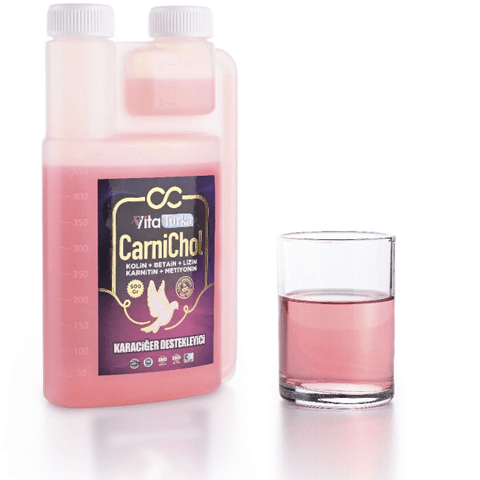 Vita Turka Carnichol 500 ML