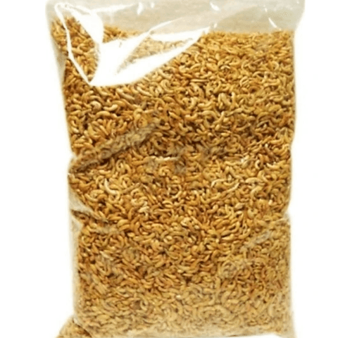 Kurutulmuş Karides (Gammarus)  – Doğal Protein Desteği, 