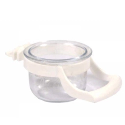 Büyük Tünekli Kelepçeli Mamalık