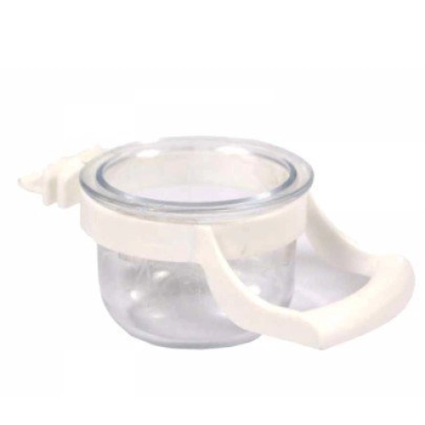 Büyük Tünekli Kelepçeli Mamalık