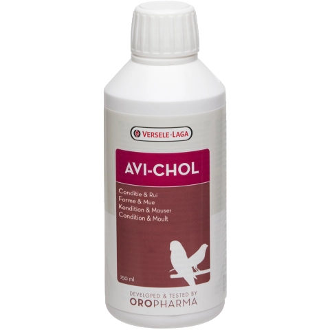 Versele Laga Avi-chol Karaciğer Koruyucu Güçlendirici