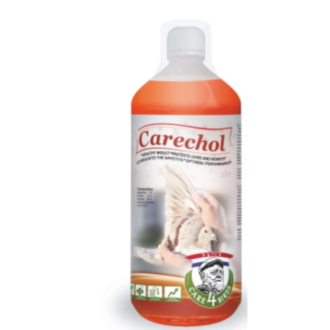 Dutch 4 Care bird Carechol Karaciğer Koruyucu 100ml