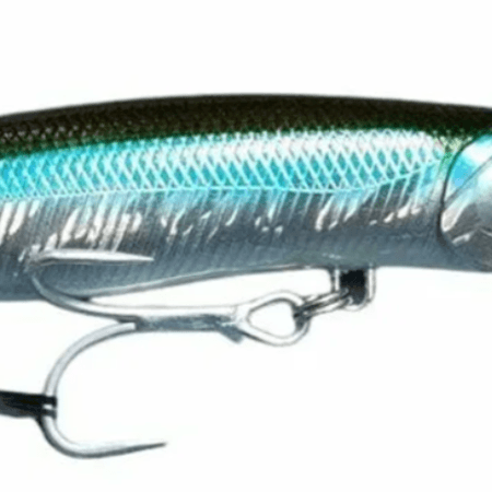 Maksimum Güç: Fladen & Ryobi Profesyonel Bot ve Tekne 9-Parça Av Seti