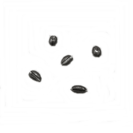 ZEYTİN KRŞN 0,5GR YARMA-1 PAKET İÇİNDE 25 ADET