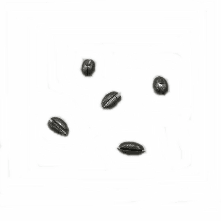 ZEYTİN KISD KRŞN 1,5GR 1 PAKET 20 ADET