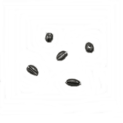 ZEYTİN YARMA KRŞN 2 GR 1 PAKET 20 ADET