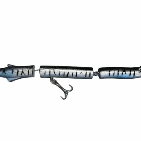 EF.FE ZARGANA RAPALA HG2401