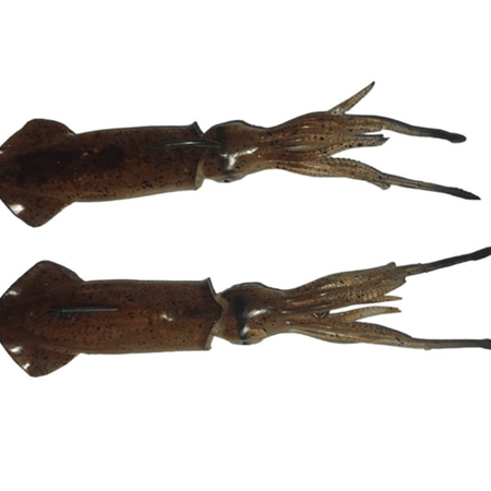 SAVAGE SALT 25 GR KALAMAR ŞEFFAF SARI