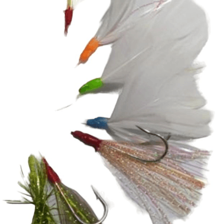 PALAMUT KAZ TÜĞÜ 10 ADET