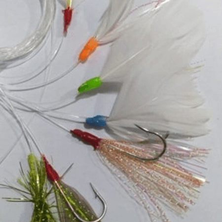 PALAMUT KAZ TÜĞÜ 10 ADET