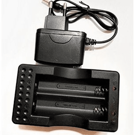 2 Lİ PİL ŞARZ ADTÖRÜ