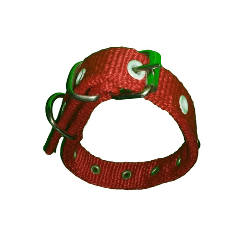 40 CM X2CM SÜSLU YAVRU TASMA KIRMIZI