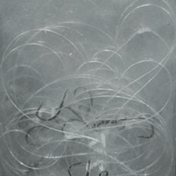 KISA KOL SARKOZ TAKIMI -2,Lİ İĞNE-3 4 5 NUMARA