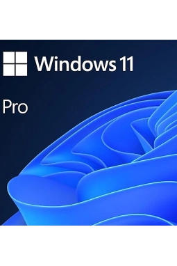 Microsoft Windows 11 Pro 64 Bit Türkçe USB Kutu HAV-00159