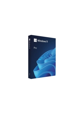 Microsoft Windows 11 Pro 64 Bit Türkçe USB Kutu HAV-00159