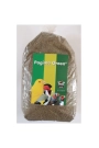 50 gr Pagima Green Sindirim Sistemi Düzenleyici Özel Çim Tohumu