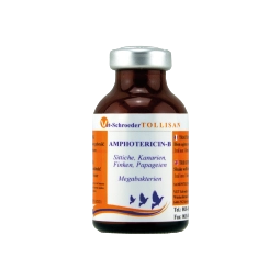Tollisan Amphotericin -B 5 ml bölünmüs