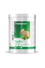 700gr Röhnfried Pavifac Polenli Bira Mayası