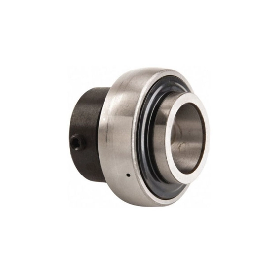 RAE.25.NPP.FA106 INA RULMAN